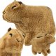 Pluszak Kapibara Capybara Maskotka Miś Dla Dzieci 1