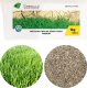 Mieszanka traw Emeralld na tereny suche 1kg 1