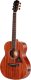 MANTIC BG-1E Vintage Gitara elektro-akustyczna 1