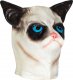 Profes. lateksowa maska GRUMPY CAT grumpy cat kot 1