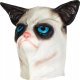 Profes. lateksowa maska GRUMPY CAT grumpy cat kot 2