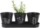 Doniczka na zioła na podstawce BLACKLINE 4 el. 1