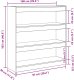 vidaXL Szafka książkowa Stare drewno 100x30x103.2 9