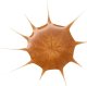 Essence DROP OF Sunshine BRONZING DROPS kropelki brązujące 25ml 1