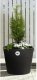 4Living "Thermo" sodinukas "Classic" 60 cm, juodas 2