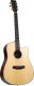 Gitara elektroakustyczna MM-G200 StringStar 1