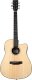 Gitara elektroakustyczna MM-G200 StringStar 1