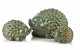 Figura Jeż Ceramiczny 15,5x11x9,5cm 3