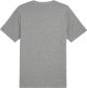 Koszulka męska Puma Ess Small No.1 Logo Tee szara 682534 03 L 1