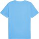 Koszulka męska Puma Ess No.1 Logo Tee (s) niebieska 682533 57 L 1