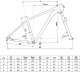 Kellys SPIDER 10 29" XC Wybierz rozmiar ramy: L, Wybierz kolor: Green 2