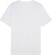 Koszulka męska Puma Ess Small No.1 Logo Tee biała 682534 02 L 1