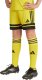 Spodenki dla dzieci adidas Squadra 25 żółte JJ2421 140cm 1