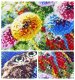 HAFT DIAMENTOWY 5D Zestaw Obraz MOZAIKA 40*60cm 7