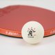 Piłeczki do ping ponga Giant Dragon ITTF *** ABS 40 63066 6 szt. Uniwersalny 1