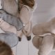Zaffiro - Rękawiczki dla dorosłych Wełna premium S/M Beige U 1