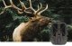 SUNTEK 940 PRO FOTOPUŁAPKA WIFI KAMERA LEŚNA 30MP 4K UHD 120 BLUETOOTH 1