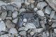 NACON PS5 Pad bezprzewodowy REVOLUTION 5 PRO URBAN CAMO 5