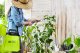 Opryskiwacz Elektryczny Automatyczny Ciśnieniowy 5L ze Stalową Lancą i Regulowaną Dyszą Spryskiwacz do Oprysków "Gardenblast Precision" 10