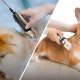 Extralink Pets | Maszynka do strzyżenia psów i kotów | bezprzewodowa z 4 końcówkami grzebień nożyczki pilnik 4