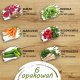PNOS Zestaw | Nasiona na Taśmie | 7 Opakowań 12