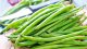 TORAF FASOLA SZPARAGOWA KARŁ. ZIELONOSTR. FERRARI PHASEOLUS VULGARIS L. [30 G] 6