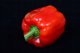 TORAF PAPRYKA CALIFORNIA WONDER CAPSICUM ANNUUM L. [0,5 G] 3