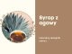 Syrop z agawy ekologiczny zamiennik cukru naturalny 100%bio 350g 2