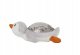 Cloud B Tranquil Pingwin ECO 3