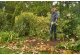 Cordless leaf blower RYOBI ONE+ RY18BLCXA-0, 18 V, 6.51 m3/min, 241 km/h, without battery 2