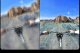 Zestaw Insta360 X4 kamera sportowa snowboard narty wodoodporna CINSABMA S1 6
