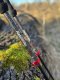 Kije carbon czerwone NATUREHIKE nh20ds003-red 8
