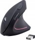 Renkforce RF-WM-322, Right-hand, Vertical design, Optical, RF Wireless, 1600 DPI, Black 1