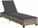 vidaXL Leżak z poduszkami Szary 55x200x25,5cm Polirattan 1
