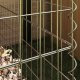 vidaXL Srebrny Metaliczny Stal Ocynkowana 100 x 100 x 100 cm Wytrzymały 3