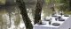 Revol Taca bambusowa do 646120, 640605 4