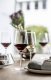 PURE Riesling 300 ml (kpl. 2 szt) 5