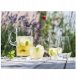Zwiesel TAVORO Longdrink 311 ml (kpl. 4 szt) 2