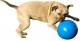 Boomer Ball XL - 10" / 25cm niebieska 2
