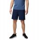 Columbia Washed Out Easy Short 2119671464 Granatowe M 3