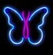 Neon led DPM "motyl" 22,5x19,5 cm 1