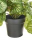 Beliani Sztuczna roślina doniczkowa wisząca 37 cm STRAWBERRY BEGONIA 4