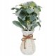 Beliani Sztuczna roślina doniczkowa 30 cm PEPEROMIA ARGYREIA 1