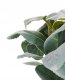 Beliani Sztuczna roślina doniczkowa 30 cm PEPEROMIA ARGYREIA 3