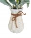 Beliani Sztuczna roślina doniczkowa 30 cm PEPEROMIA ARGYREIA 4