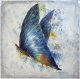 Obraz na płótnie 100x100 cm Niebieski motyl 1