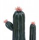 Atmosphera Figurka dekoracyjna kaktus PANAMA, 40 cm 2