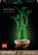 LEGO Botanicals Dracena sandera 6 szt.(10344) 1