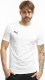 Koszulka męska Puma Team Goal Casuals Tee biała 658615 04 XL 1
