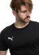 Koszulka męska Puma Team Goal Casuals Tee czarna 658615 03 L 2